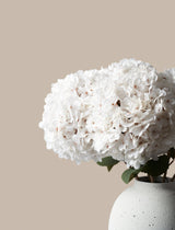 Large Faux Hydrangea - White (5 Stems)