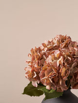 Faux Hydrangea Bouquet - Umber (4 stems)