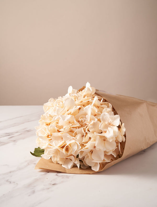 Faux Hydrangea Bouquet - Cream (4 stems)