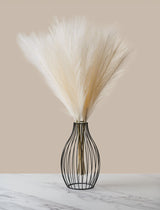 Faux Pampas Grass - Beige (5 Stems)