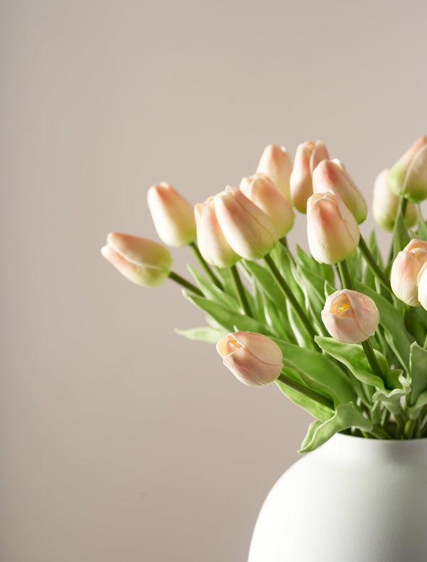 Faux Tulip - Champagne Peach (25 Stems)