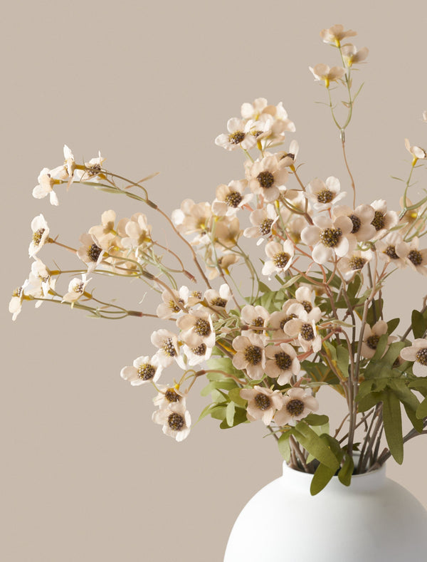 Faux Wax Flower - Cream (10 Stems)