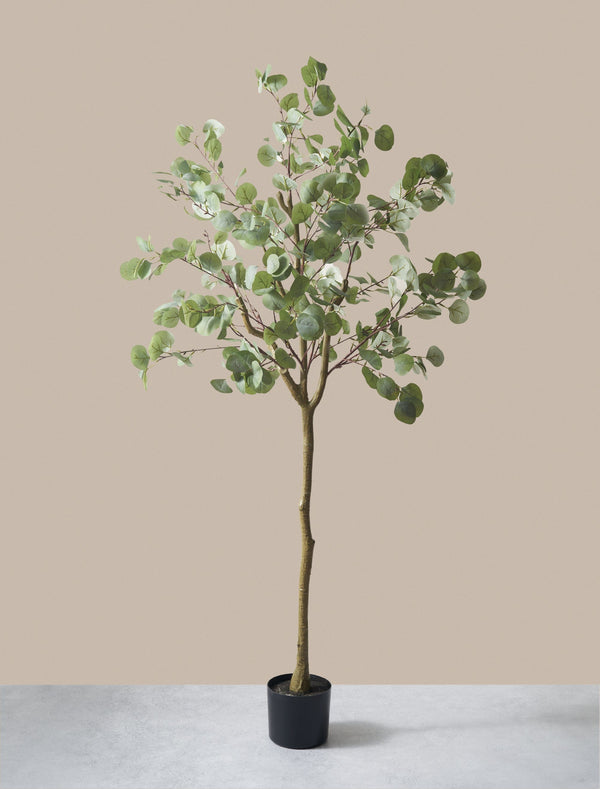 Faux Eucalyptus Tree 160cm / 5ft 2"