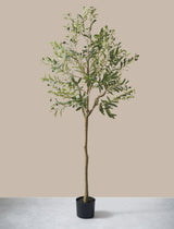 Faux Olive Tree 160cm / 5ft 2"