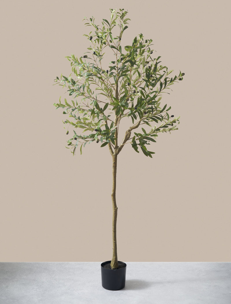 Faux Olive Tree 160cm / 5ft 2"