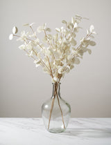 Clear Balloon Glass Vase